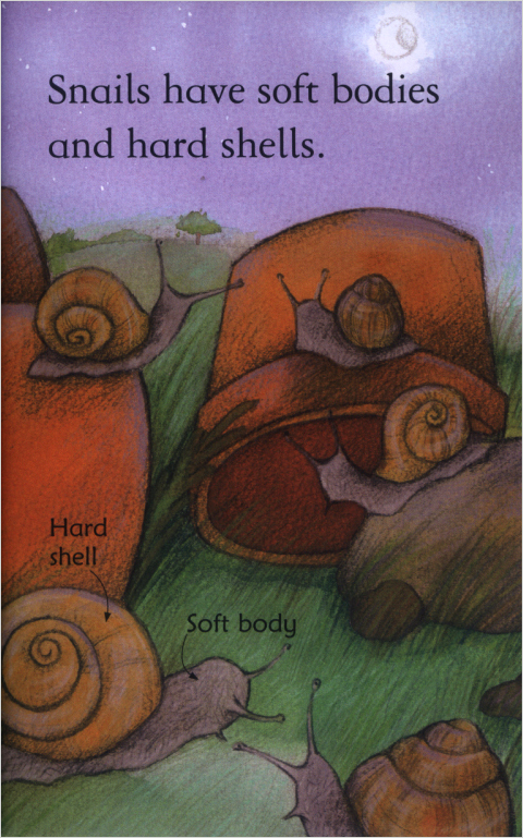 Usborne First Reading Level 2-19 / Snails 