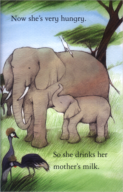 Usborne First Reading Level 4-15 / Elephants 