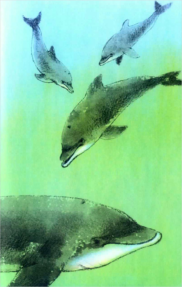 An I Can Read Book ICR Set (CD) 3-11 : Dolphin (Paperback Set)