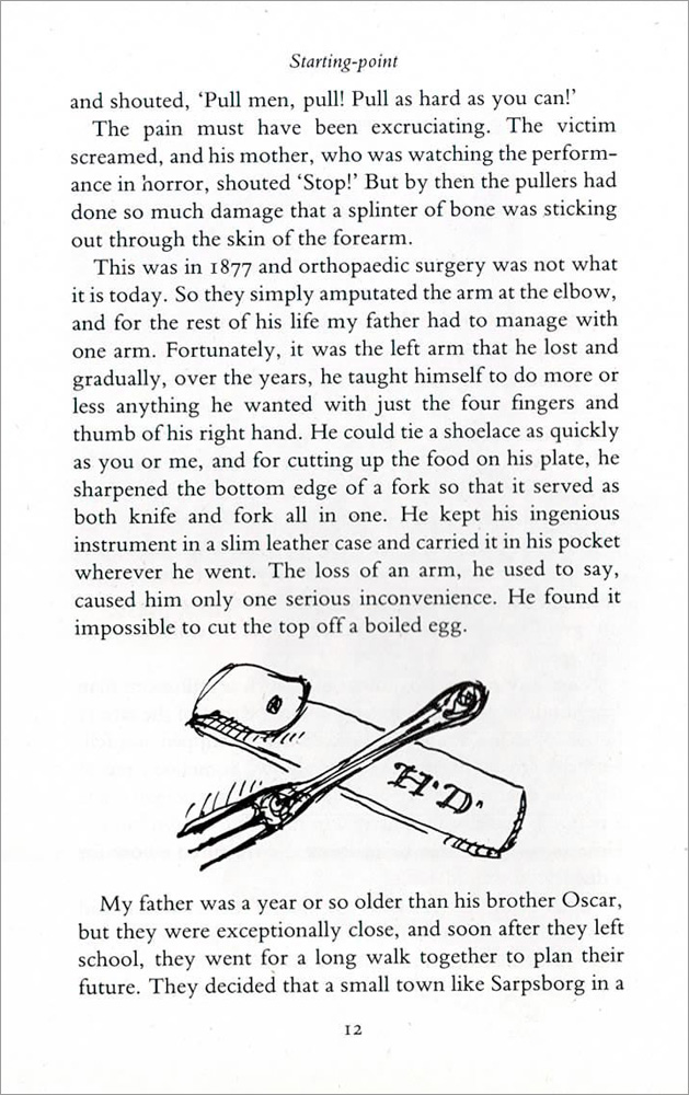 Roald Dahl 02 / Boy:Tales of Childhood 