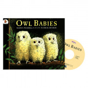 Pictory Pre-Step 34 Set / Owl Babies 