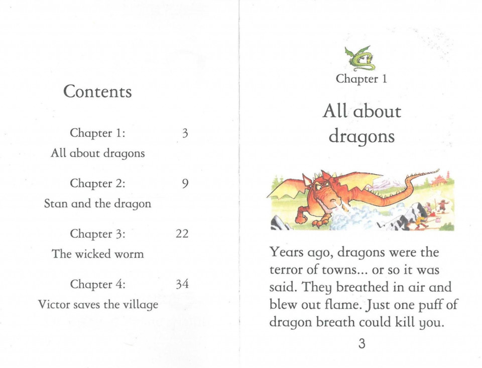 Usborne Young Reading Level 1-17 / Stories of Dragons 