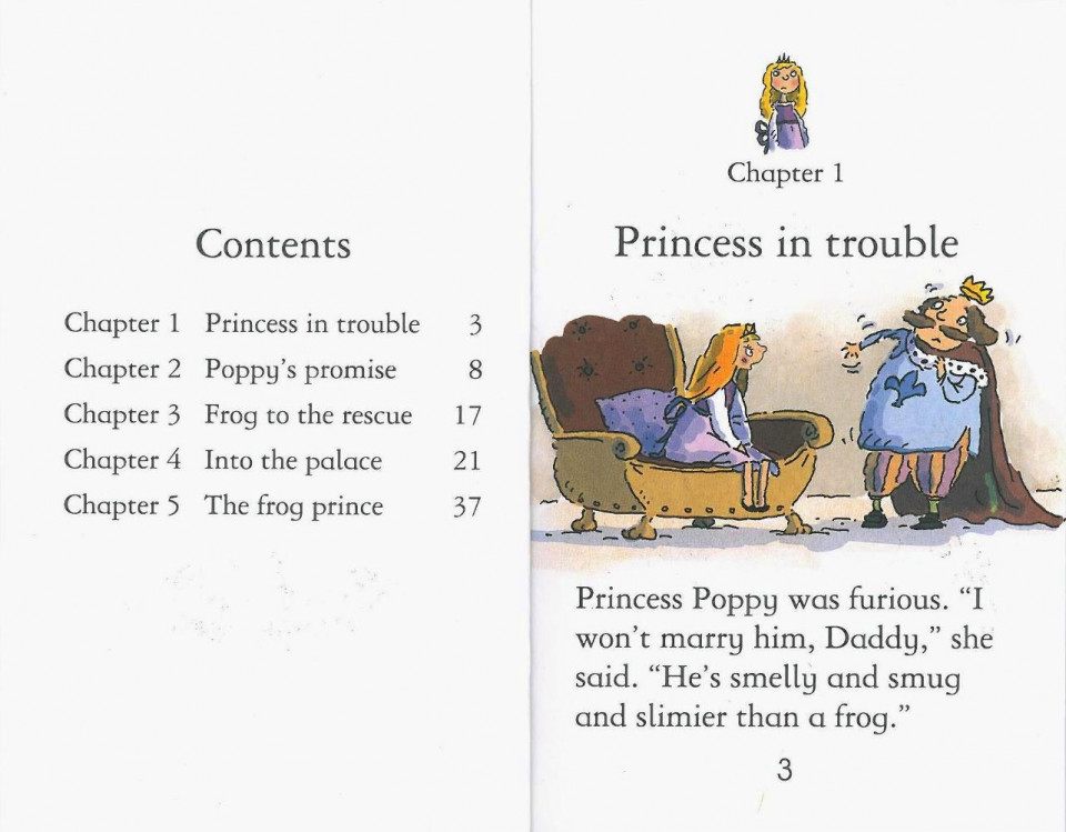 Usborne Young Reading Level 1-10 / The Frog Prince 