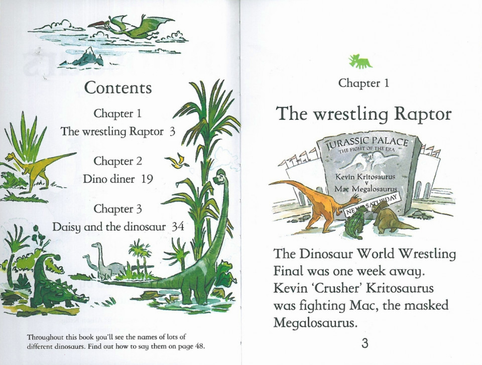 Usborne Young Reading Level 1-49 / Stories of Dinosaurs 