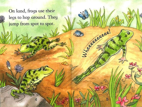 Usborne First Reading Level 3-22 / Frogs 