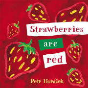 Pictory Infant & Toddler 21 / Strawberries Are Red 