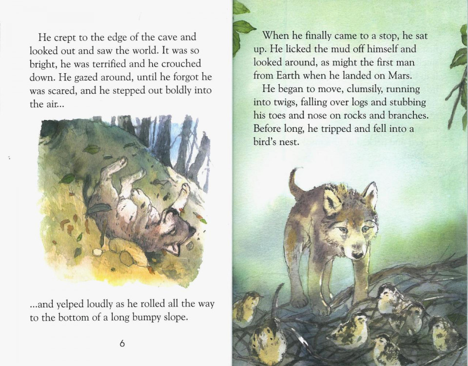 Usborne Young Reading Level 3-36 / White Fang 