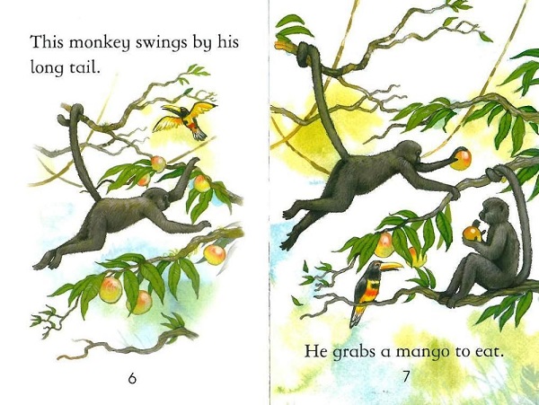 Usborne First Reading Level 3-23 / Monkeys 