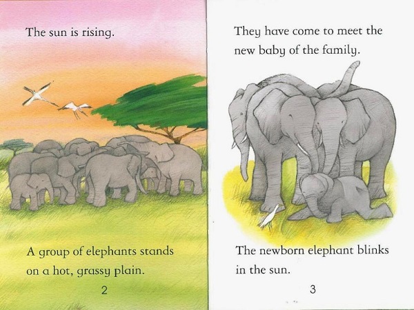 Usborne First Reading Level 4-15 / Elephants 