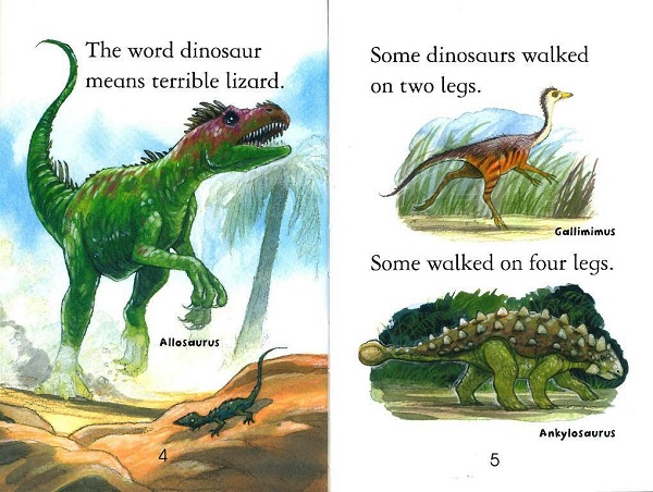 Usborne First Reading Level 3-21 / Dinosaurs 