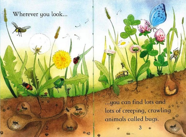 Usborne First Reading Level 3-24 / Bugs 