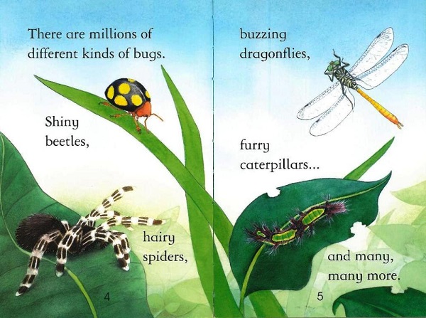 Usborne First Reading Level 3-24 / Bugs 