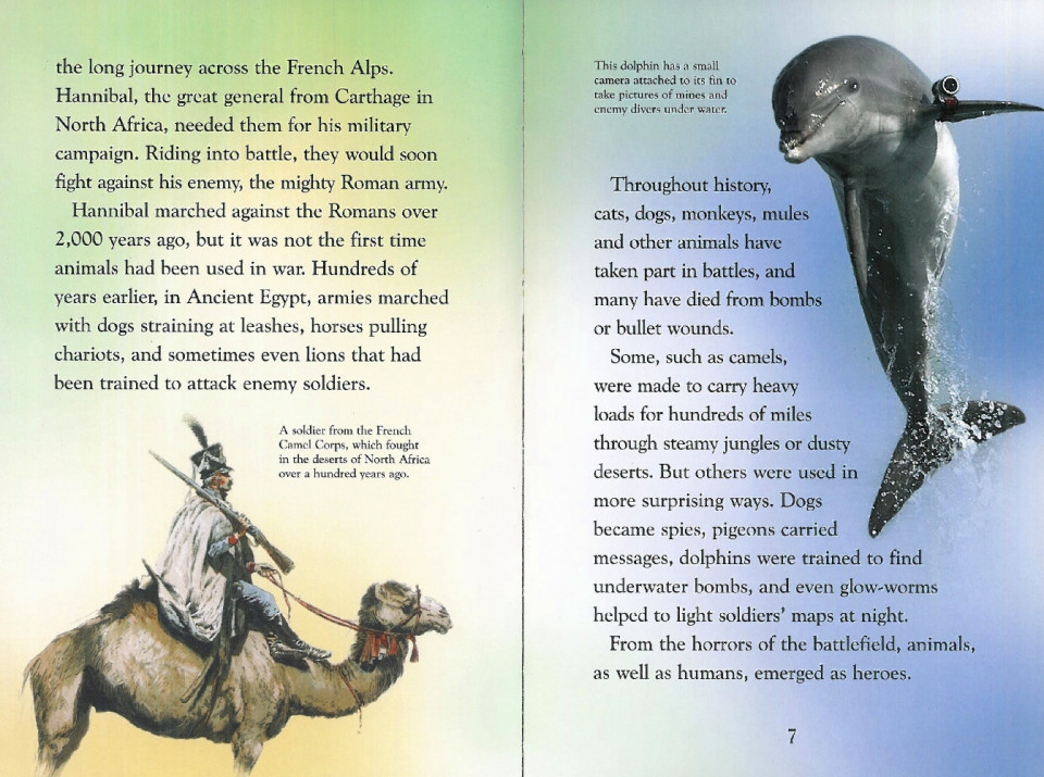 Usborne Young Reading Level 3-38 / Animals at War 