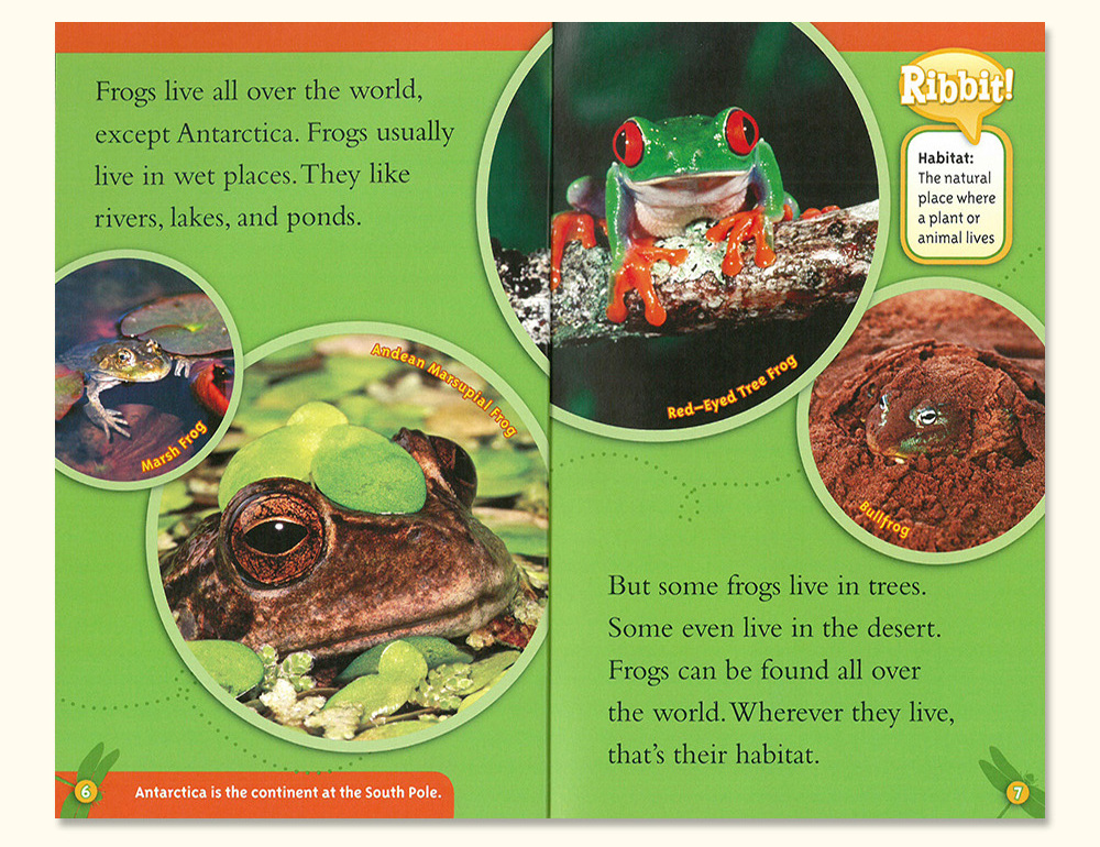 National Geographic KIDS Readers: Creepy Crawly Collection