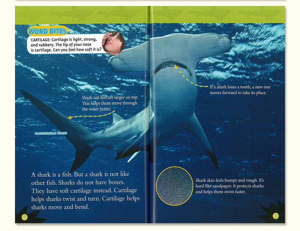 National Geographic KIDS Readers: Predators Collection