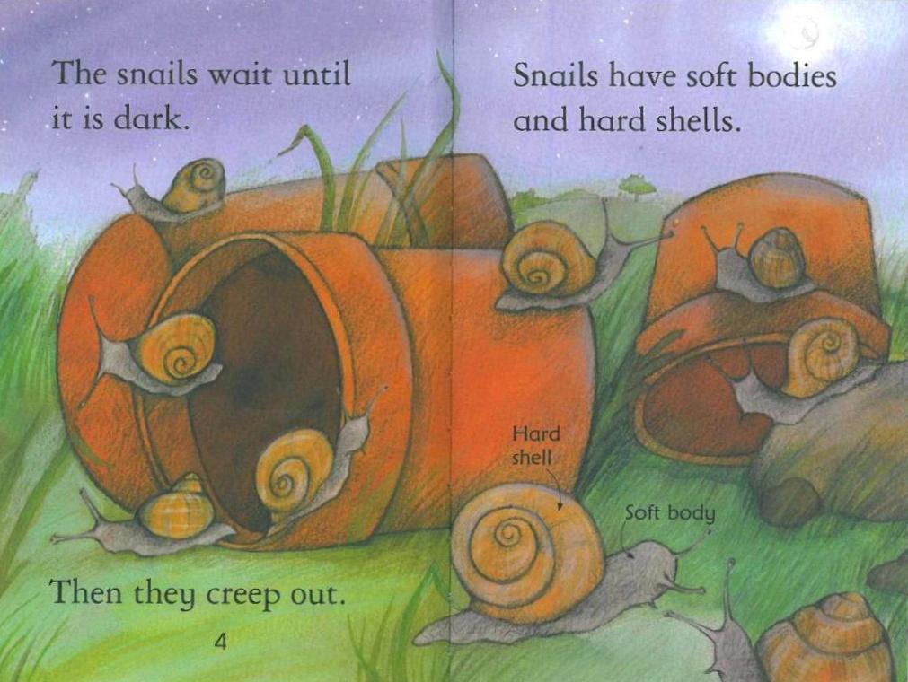Usborne First Reading Level 2-19 Set / Snails (Book+CD+Workbook)