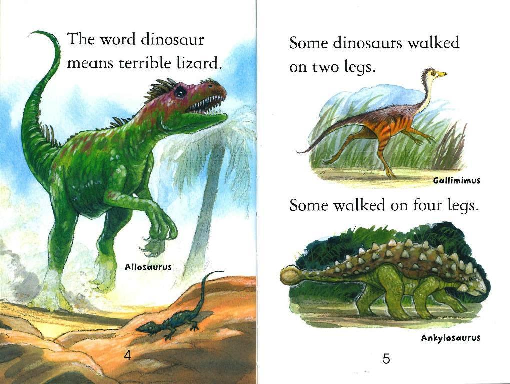 Usborne First Reading Level 3-21 Set / Dinosaurs (Book+CD+Workbook)