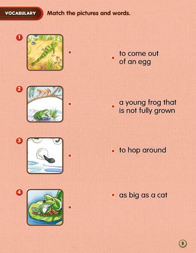 Usborne First Reading Level 3-22 Set / Frogs (Book+CD+Workbook)