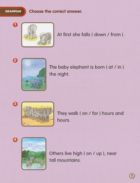 Usborne First Reading Level 4-15 Set / Elephants (Book+CD+Workbook)