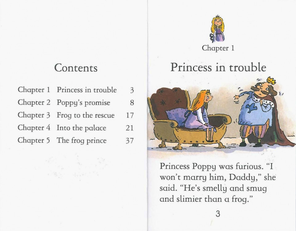 Usborne Young Reading Level 1-10 Set / The Frog Prince (Book+CD)