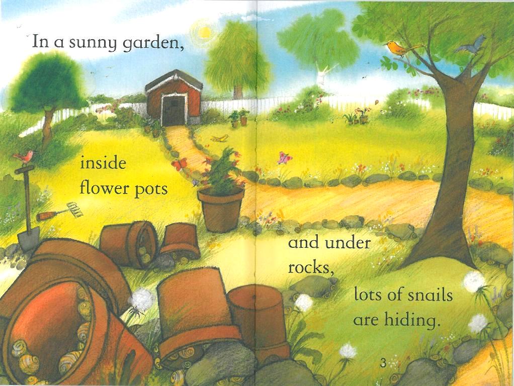 Usborne First Reading Level 2-19 Set / Snails (Book+CD)