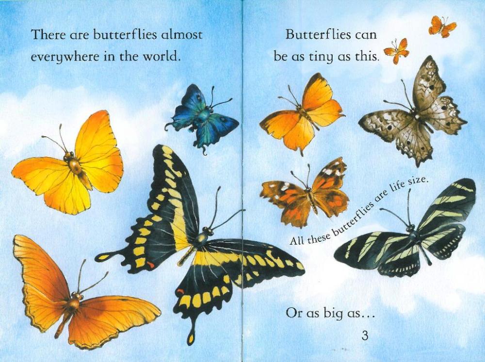 Usborne First Reading Level 4-14 / Butterflies (Book+CD)