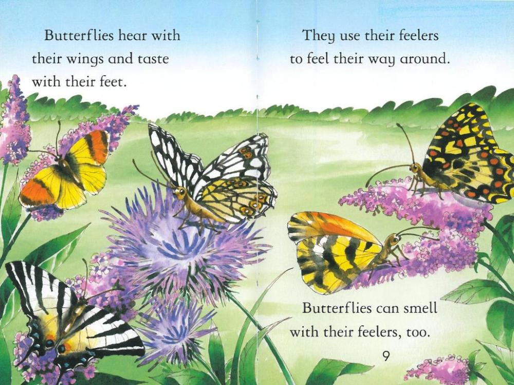 Usborne First Reading Level 4-14 / Butterflies (Book+CD)