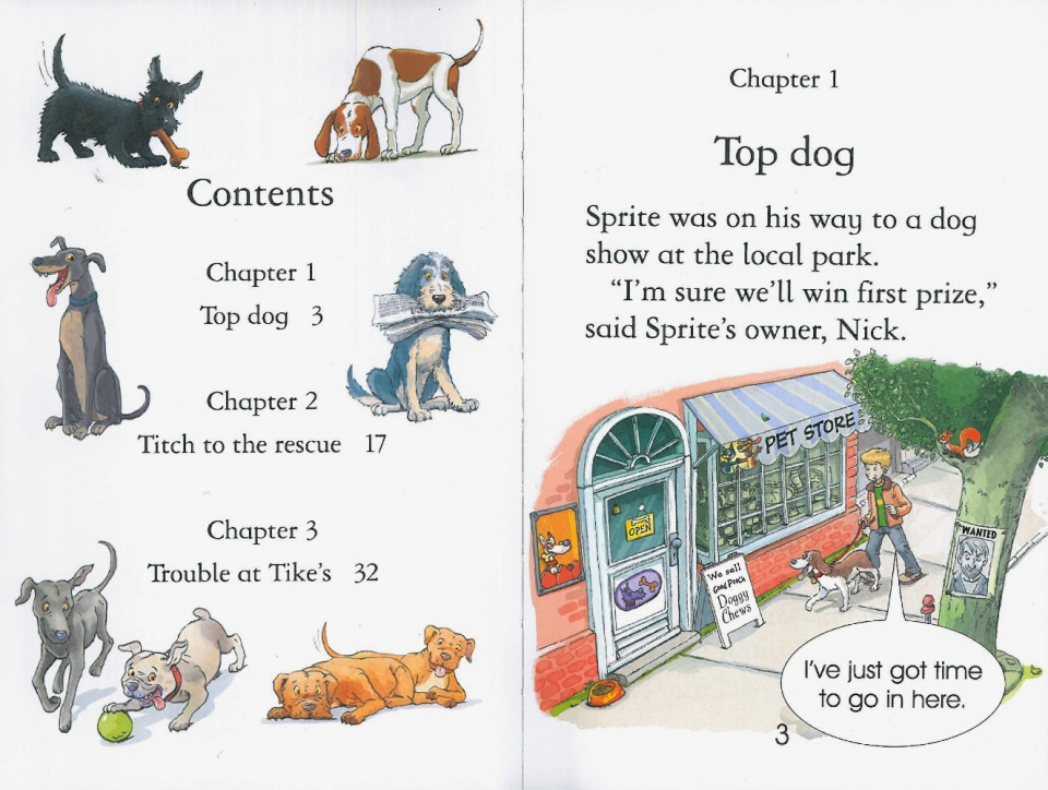 Usborne Young Reading Level 1-48 Set / Stories of Dogs (Book+CD)