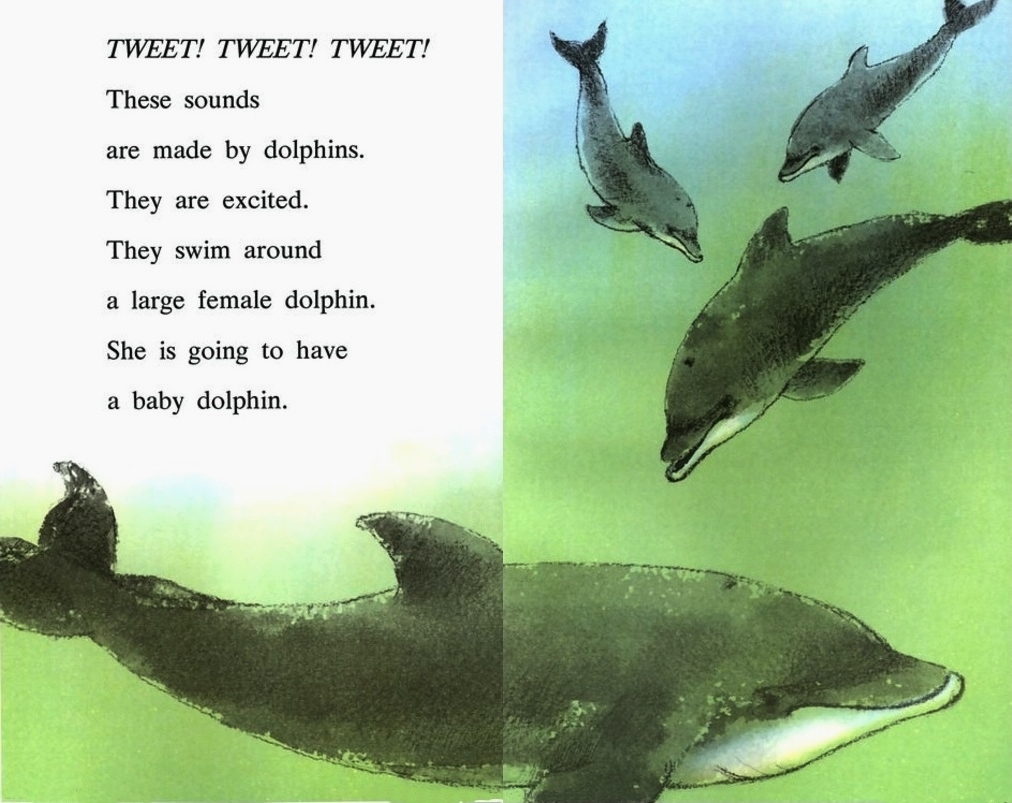 I Can Read Level 3-11 Set / Dolphin (Book+CD)