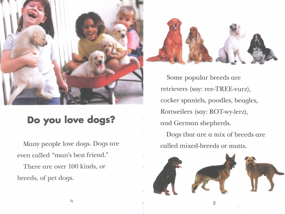 Penguin Young Readers 3-05 / Why Do Dogs Bark? (Book+CD+QR)