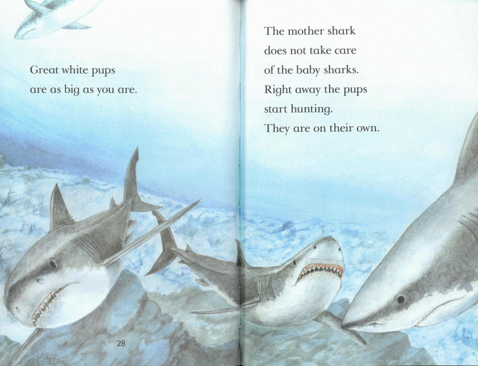 Penguin Young Readers 3-06 / Sharks! (Book+CD+QR)