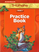 Triumphs 3 / Practice Book 