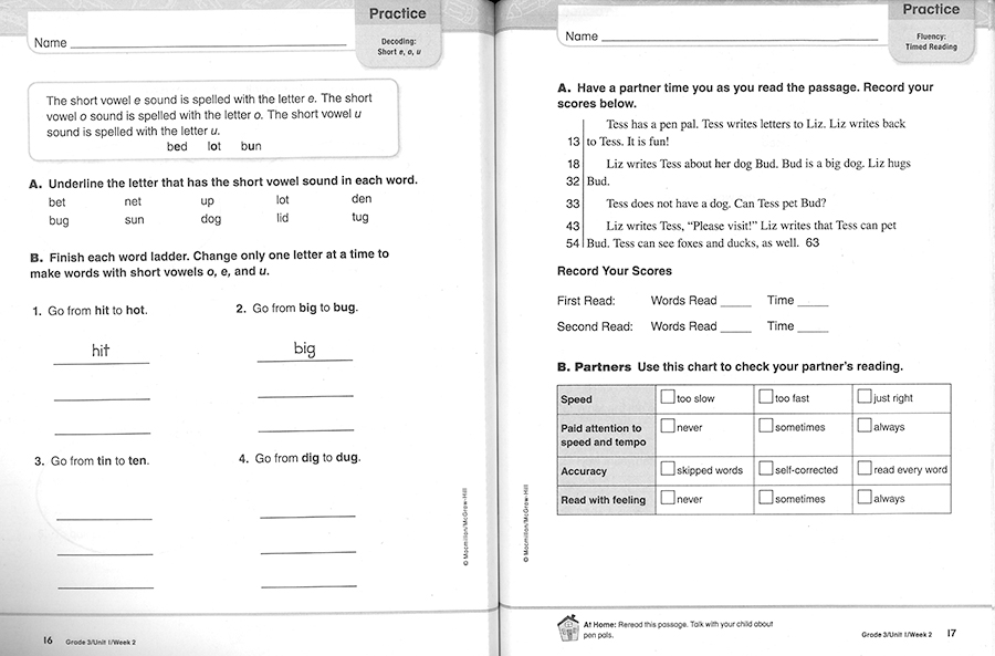 Triumphs 3 / Practice Book 