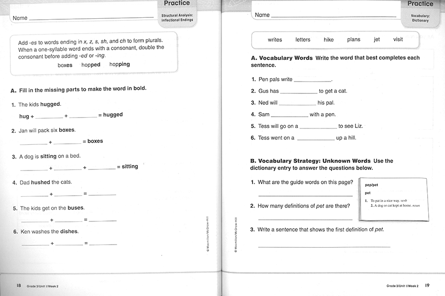 Triumphs 3 / Practice Book 