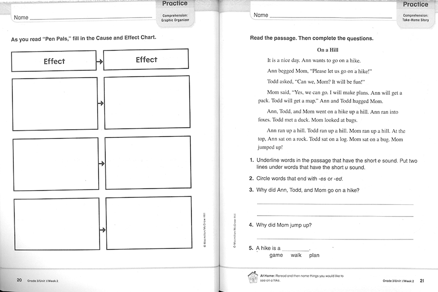 Triumphs 3 / Practice Book 