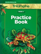 Triumphs 4 / Practice Book