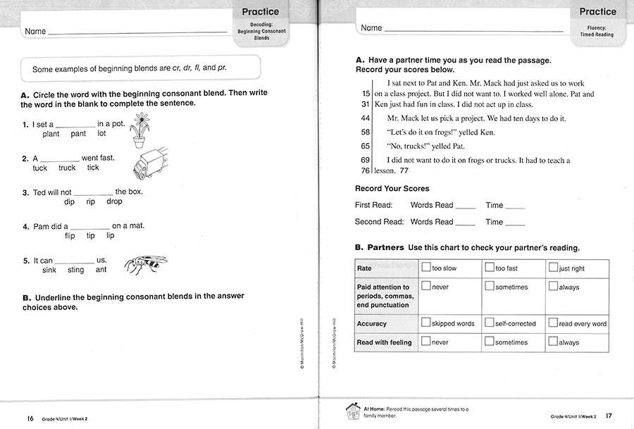 Triumphs 4 / Practice Book