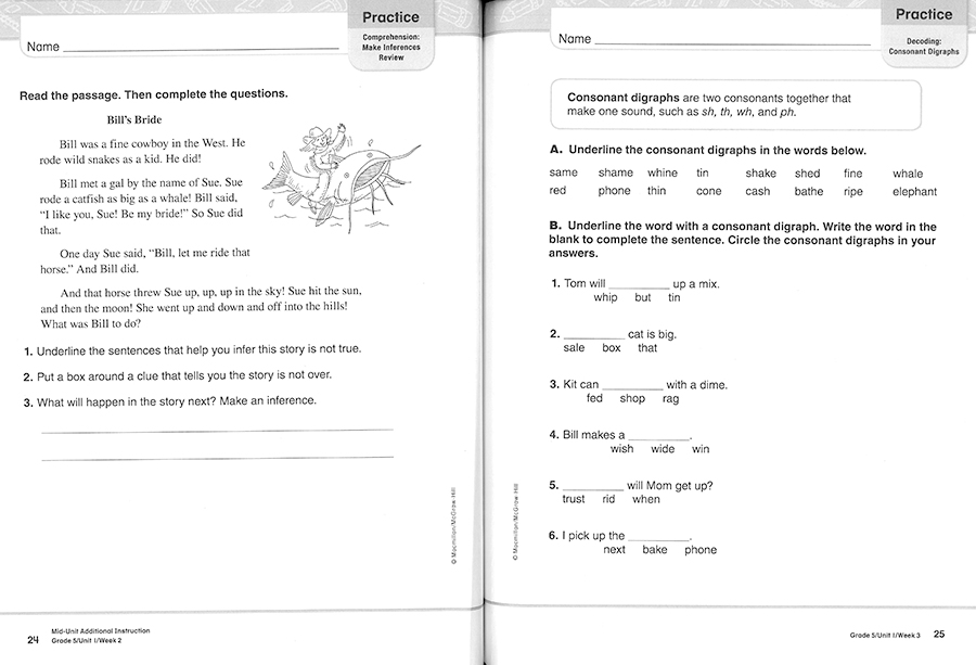 Triumphs 5 / Practice Book 