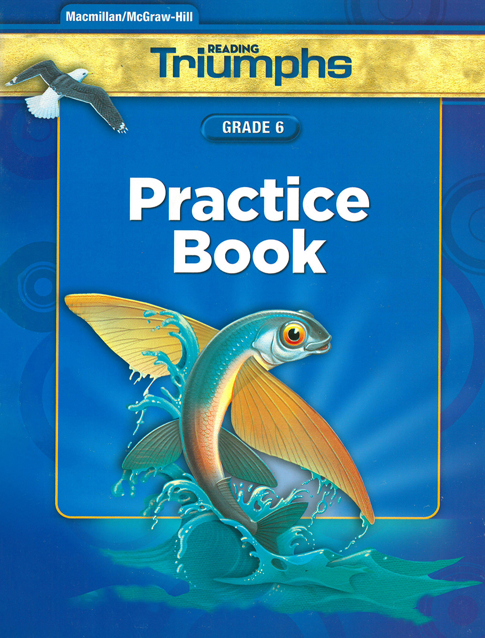 Triumphs 6 / Practice Book