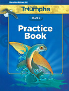 Triumphs 6 / Practice Book