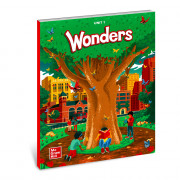 Wonders Literature Anthology(23) 1.1