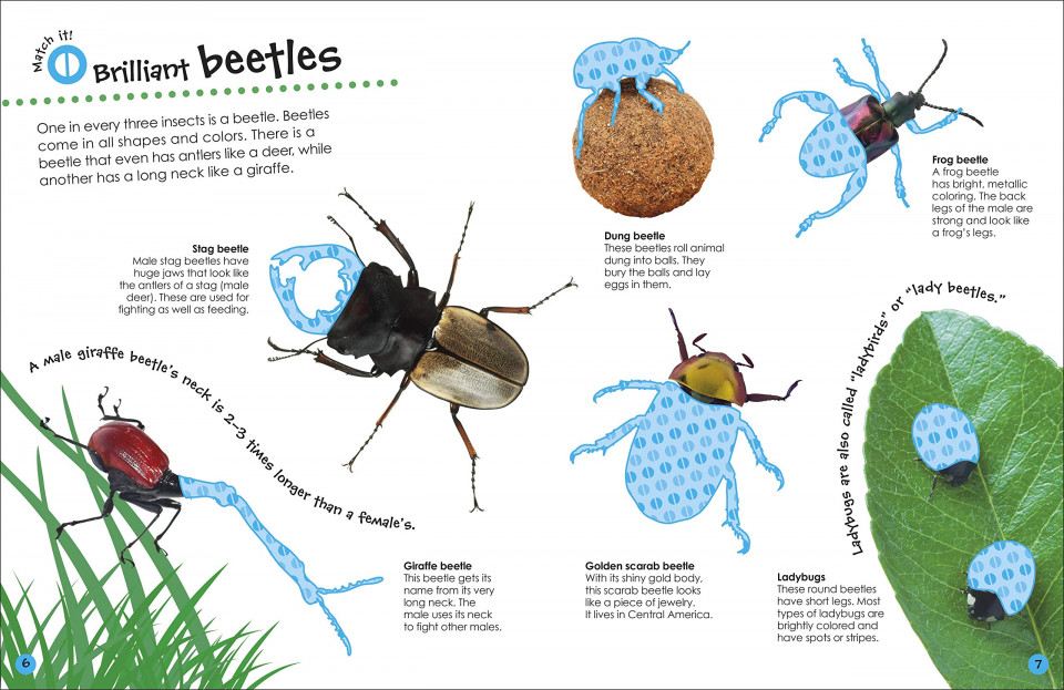 The Ultimate Sticker Book: Bugs