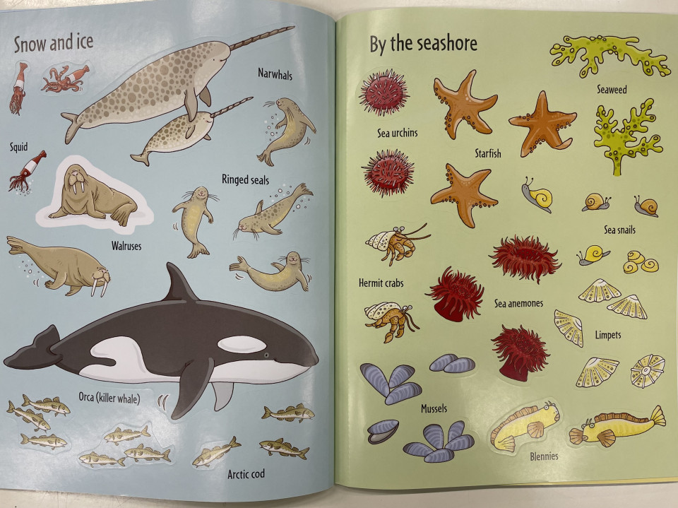 Usborne First Sticker Book Under the Sea