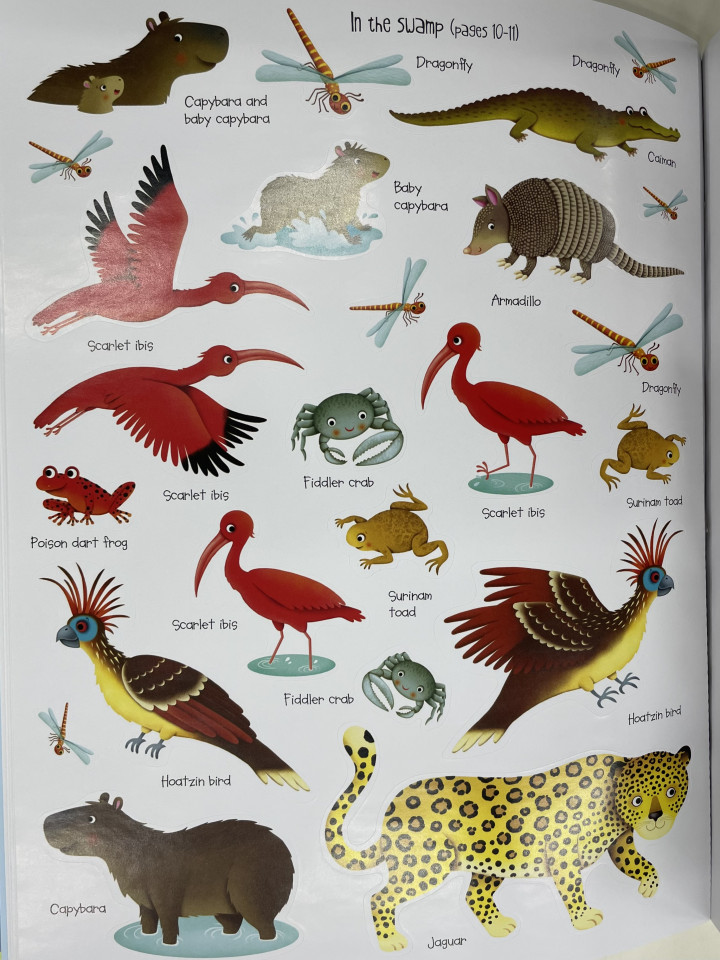 Usborne First Sticker Book: Jungle