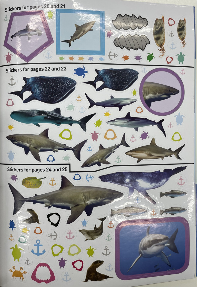 National Geographic Kids Sharks Sticker Activity Book