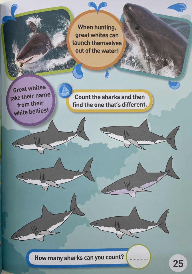 National Geographic Kids Sharks Sticker Activity Book