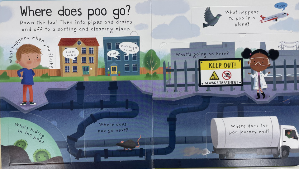 Usborne/Where Does Poo Go? (First Lift-the-Flap Questions & Answers)