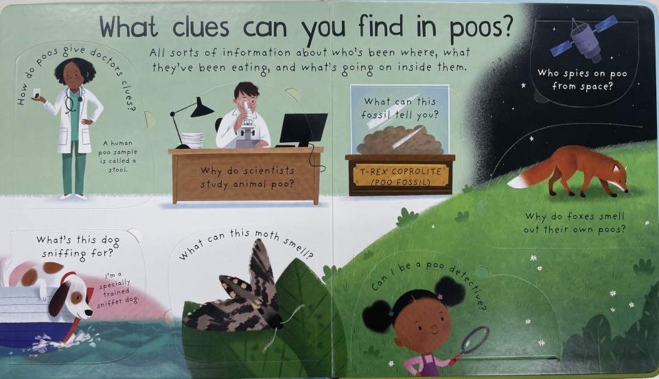 Usborne/Where Does Poo Go? (First Lift-the-Flap Questions & Answers)