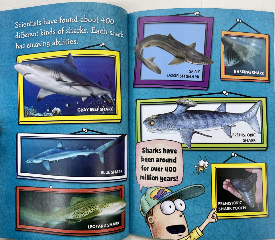 Scholastic Reader Level 2 / Fly Guy Presents: Sharks