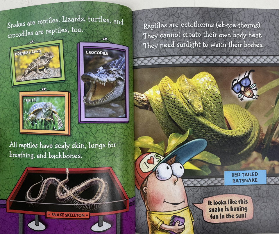 Scholastic Reader Level 2 / Fly Guy Presents: Snakes